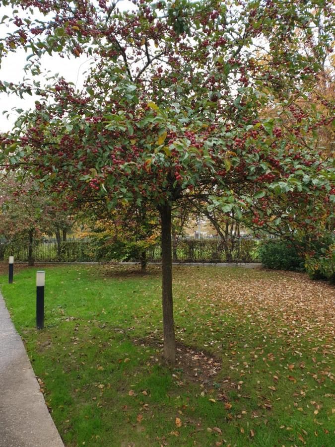 Eden Park Luxe Disney Lejlighed Montévrain Eksteriør billede